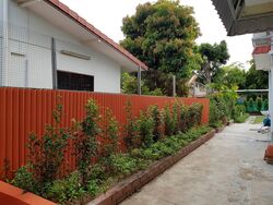 Bedok Road (D16), Semi-Detached #312924421